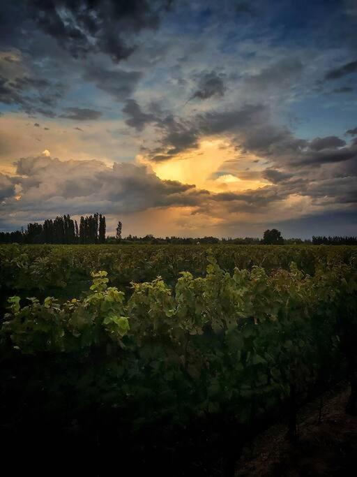 Bodega Durigutti Family Winemakers Las Compuertas Exterior foto